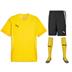 Puma team GOAL Full Kit Bundle of 12 (Short Sleeve)