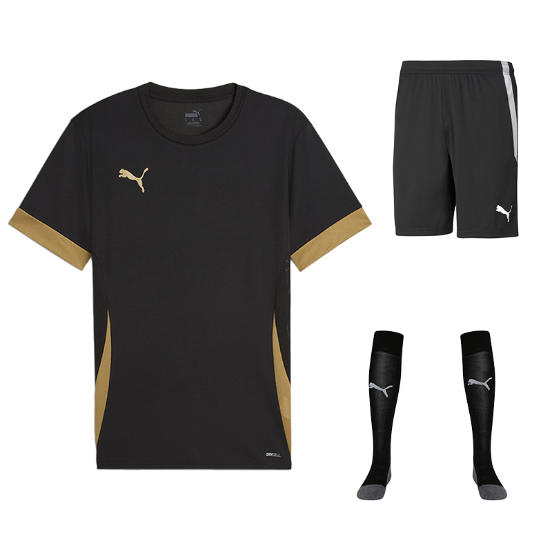 Puma team GOAL Short Sleeve Kit Set