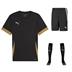 Puma team GOAL Short Sleeve Kit Set