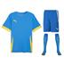 Puma team GOAL Short Sleeve Kit Set