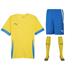 Puma team GOAL Short Sleeve Kit Set
