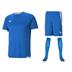 Puma Team Liga Full Kit Bundle of 10 (Short Sleeve)