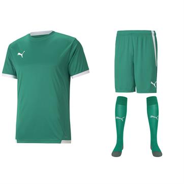 Puma Team Liga Full Kit Bundle of 10 (Short Sleeve) - Green