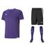 Puma Team Liga Full Kit Bundle of 10 (Short Sleeve)