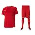 Puma Team Liga Full Kit Bundle of 10 (Short Sleeve)