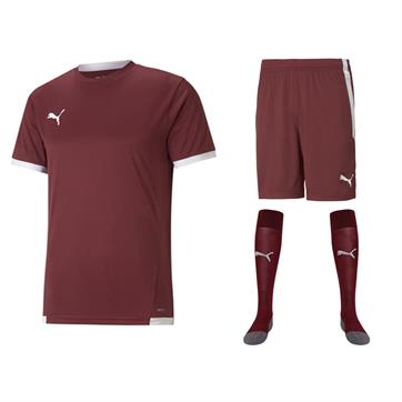 Puma Team Liga Full Kit Bundle of 15 (Short Sleeve) - Cordovan