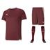 Puma Team Liga Short Sleeve Kit Set