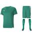 Puma Team Liga Short Sleeve Kit Set