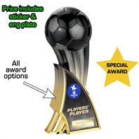 Firestorm Heavyweight Football Trophy Award (FOR SPECIALS)