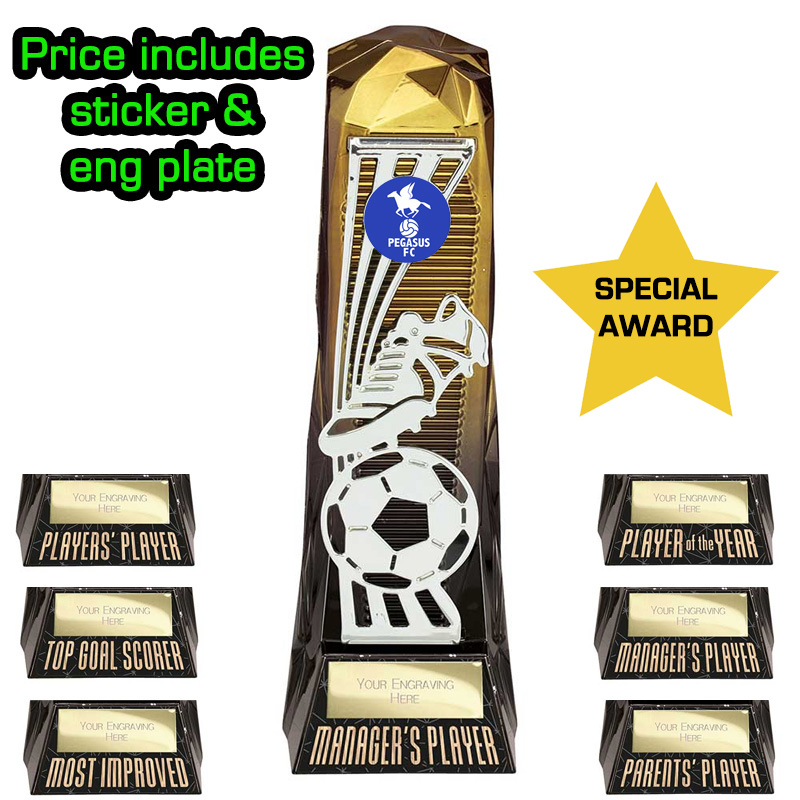 Shard Football Trophy - Special Award (23cm)