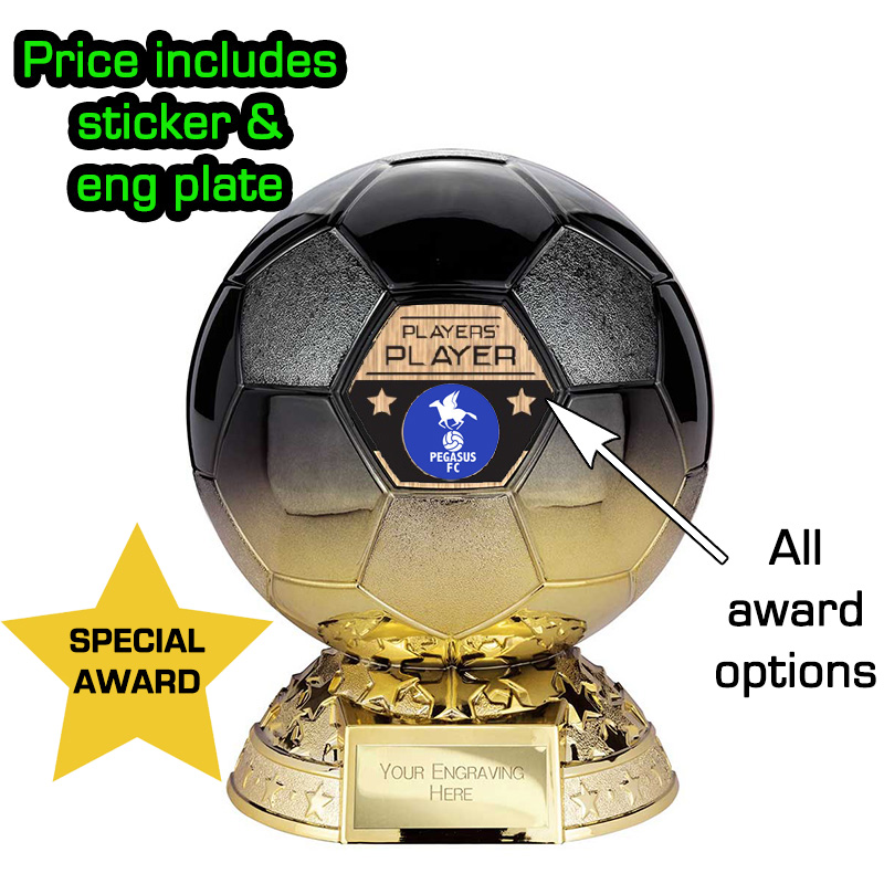 Elite Football Heavyweight Special Award Trophy