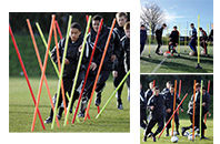 Agility Training Poles